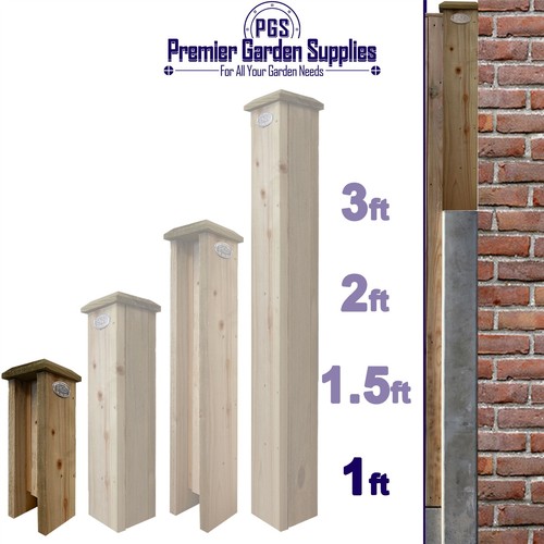 1ft timber concrete - 1ft, (30cm)